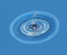 Optimal Health Network 